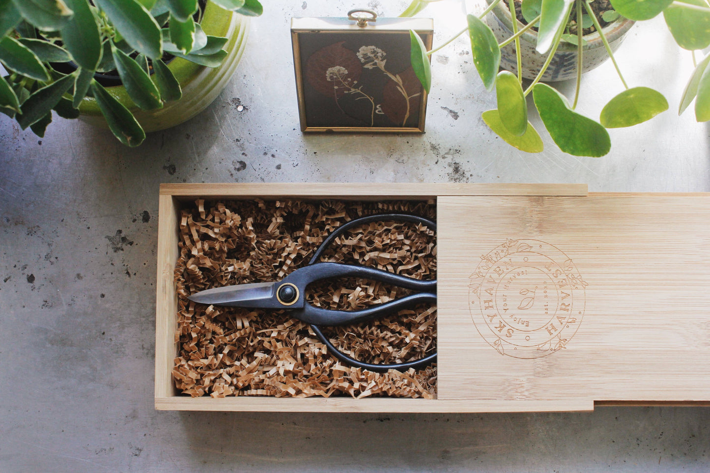 Higurashi Bonsai Scissors