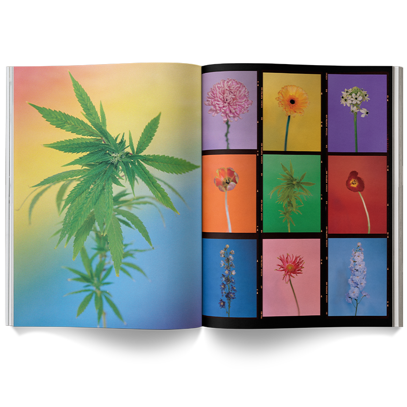 A Weed is a Flower Book