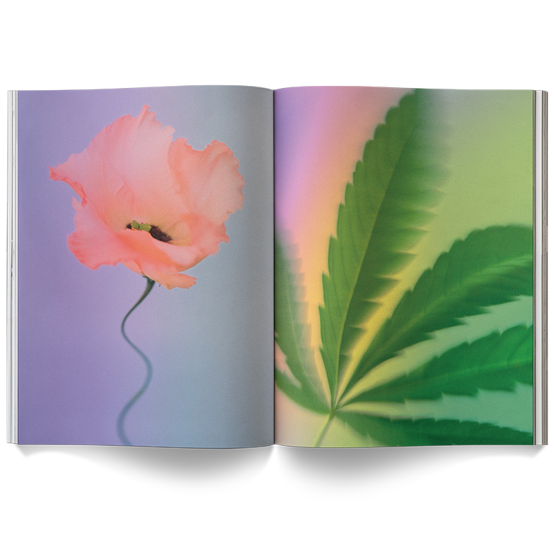 A Weed is a Flower Book