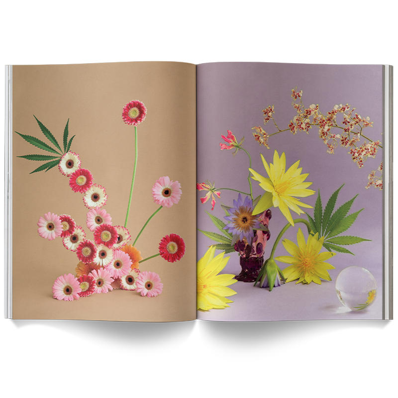 A Weed is a Flower Book