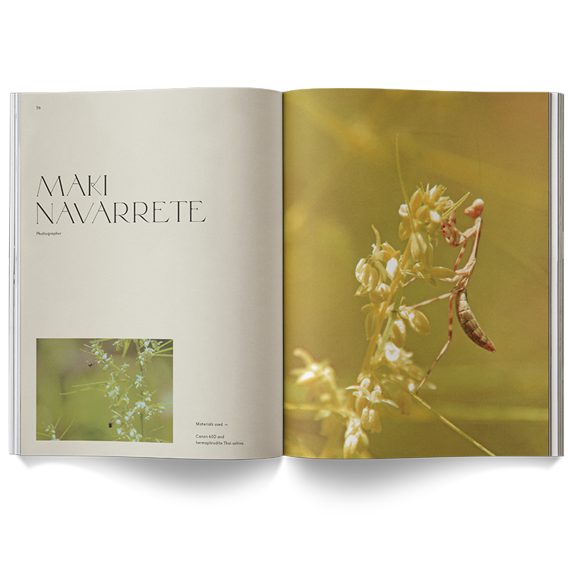 A Weed is a Flower Book