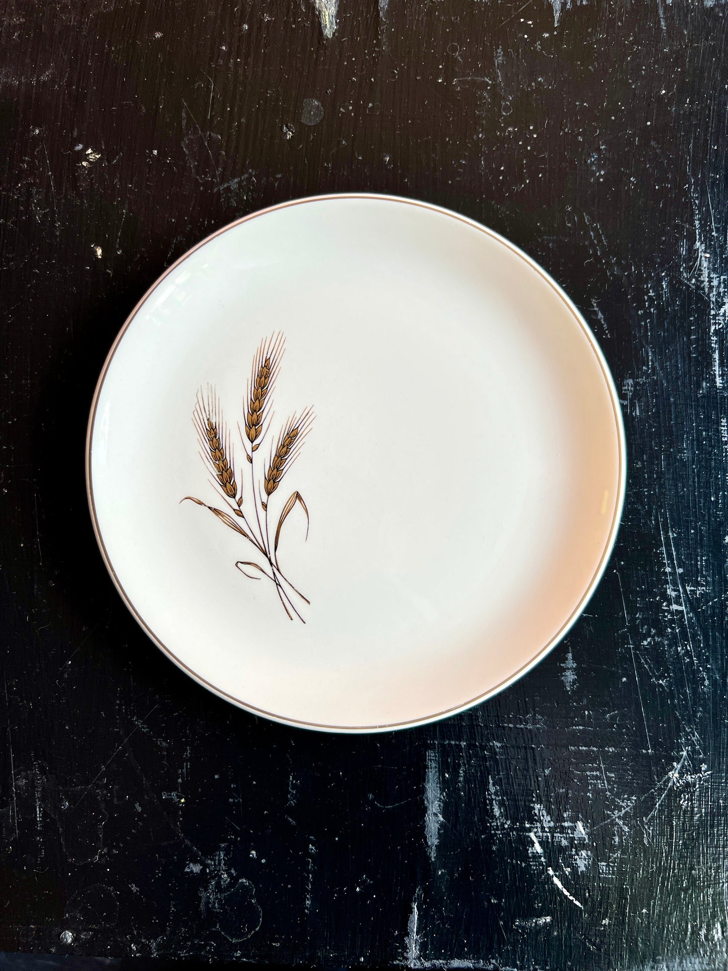 Royal Joci by Salem Salad Plates - Set of 2 Plates - Vintage China