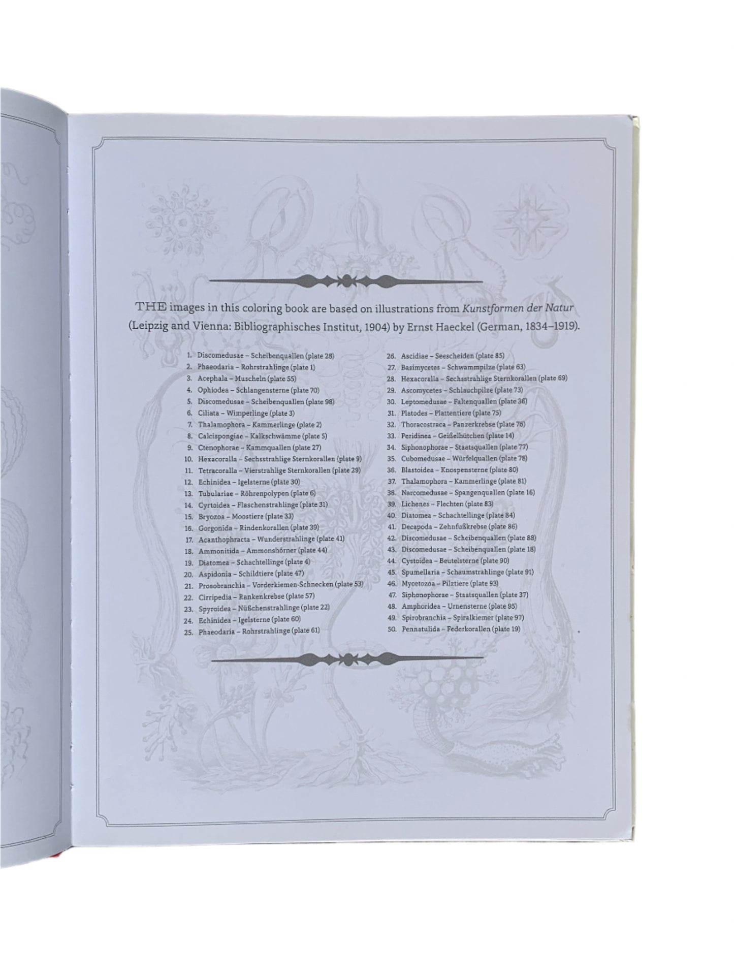 Ernst Haeckel: Art Forms in Nature Coloring Book - Hardcover
