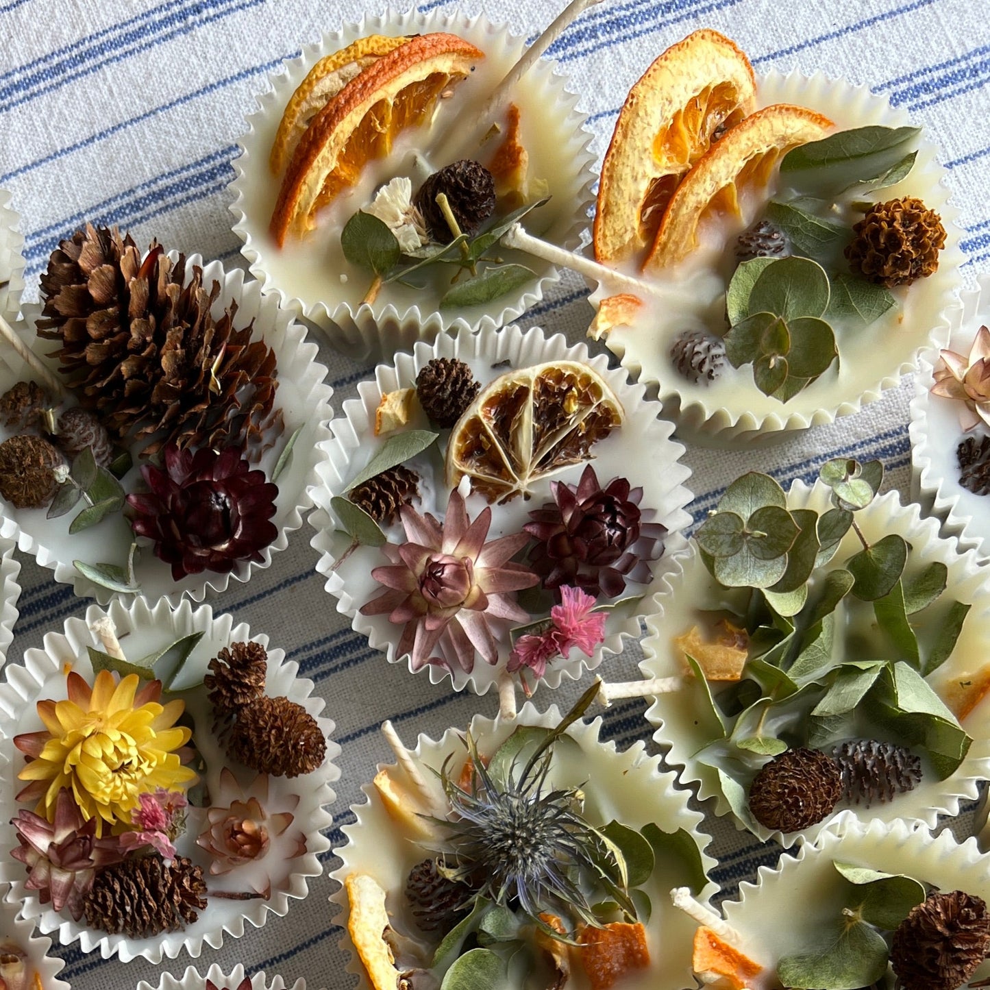 Woodland Wax Fire Starter - Orange Peel, Eucalyptus, Pine Cone