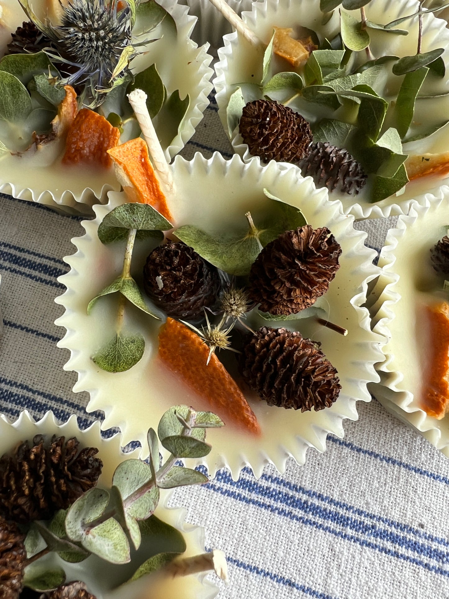 Woodland Wax Fire Starter - Orange Peel, Eucalyptus, Pine Cone