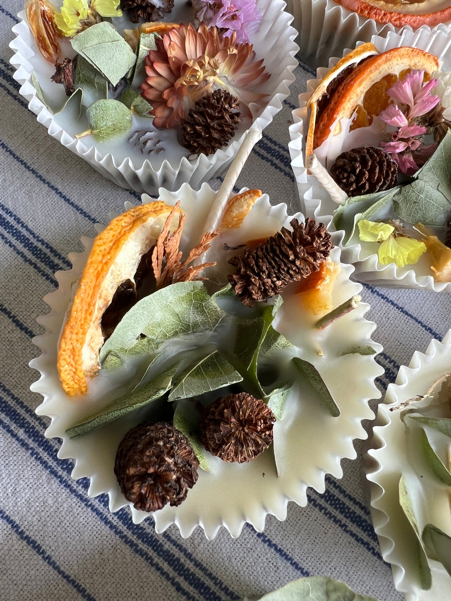 Woodland Wax Fire Starter - Orange Peel, Eucalyptus, Pine Cone