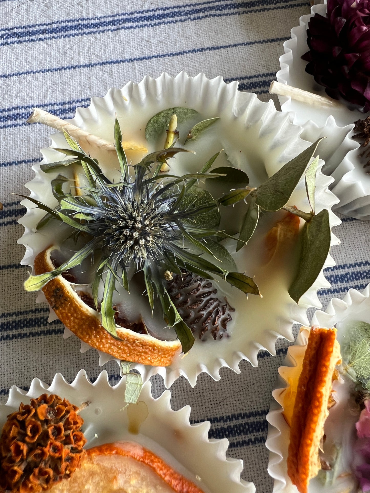 Woodland Wax Fire Starter - Orange Peel, Eucalyptus, Pine Cone