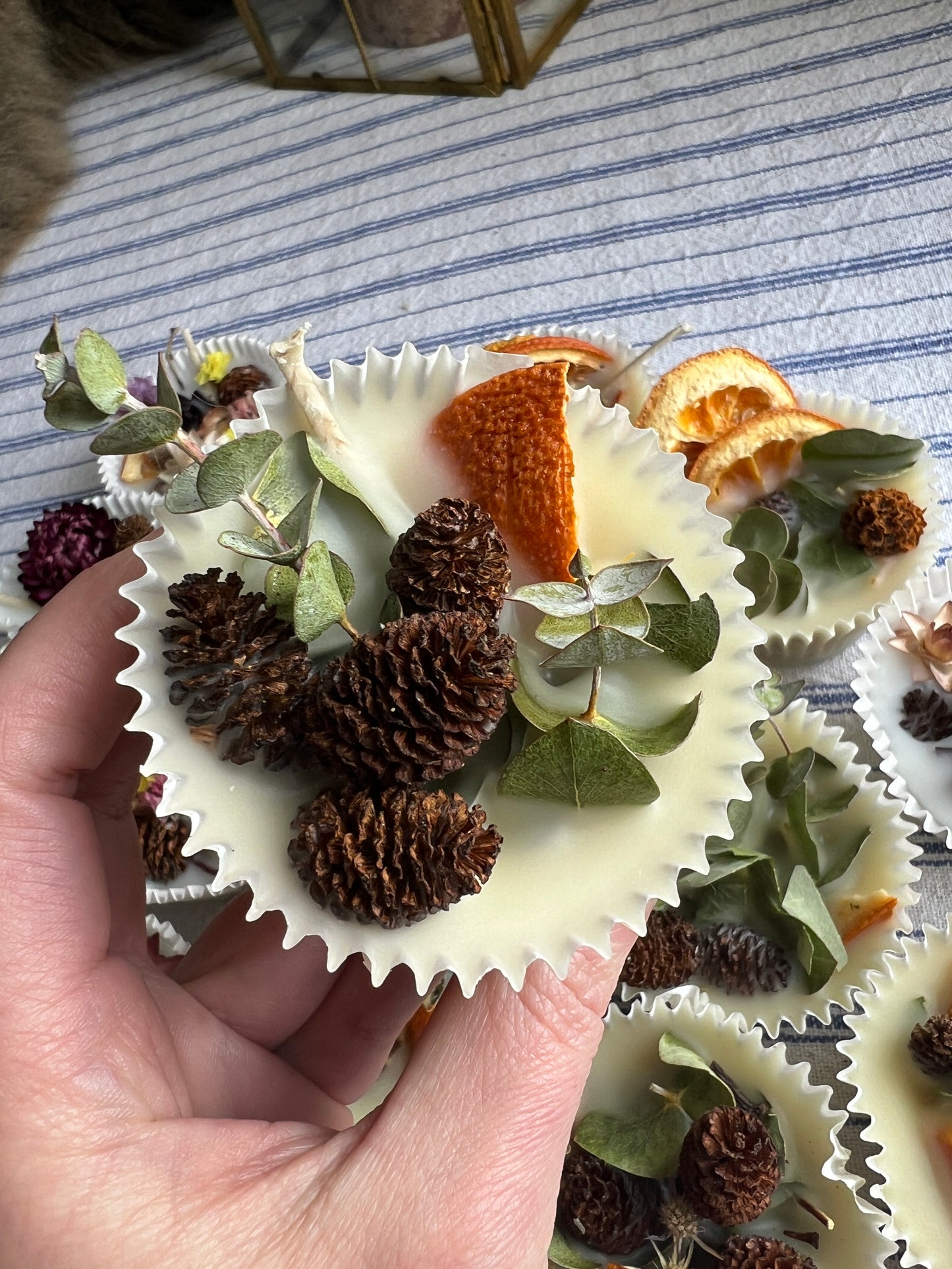 Woodland Wax Fire Starter - Orange Peel, Eucalyptus, Pine Cone