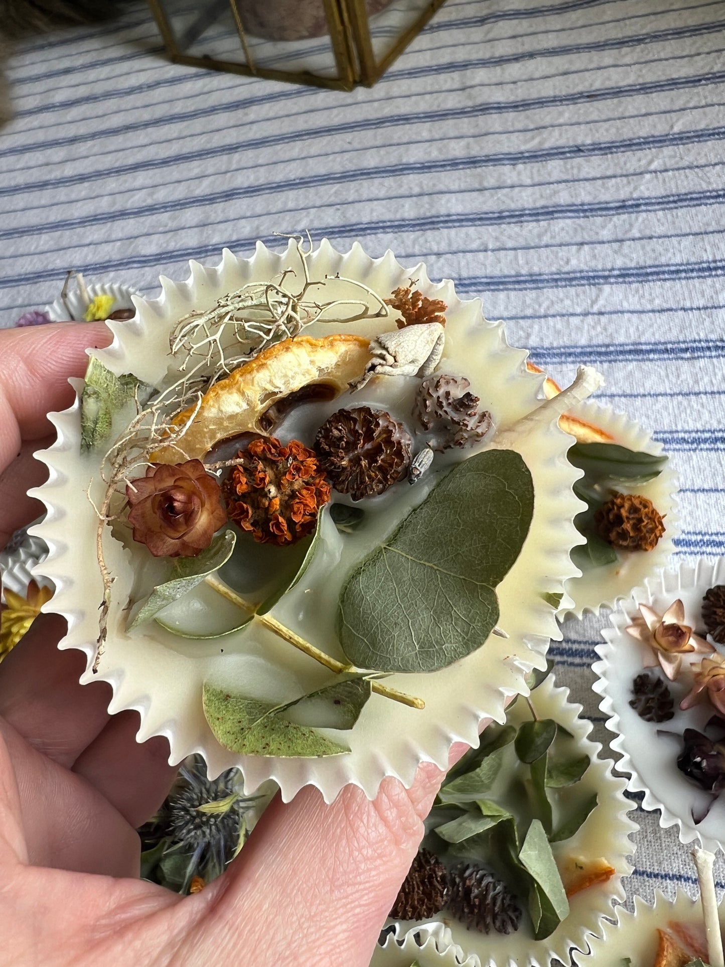 Woodland Wax Fire Starter - Orange Peel, Eucalyptus, Pine Cone