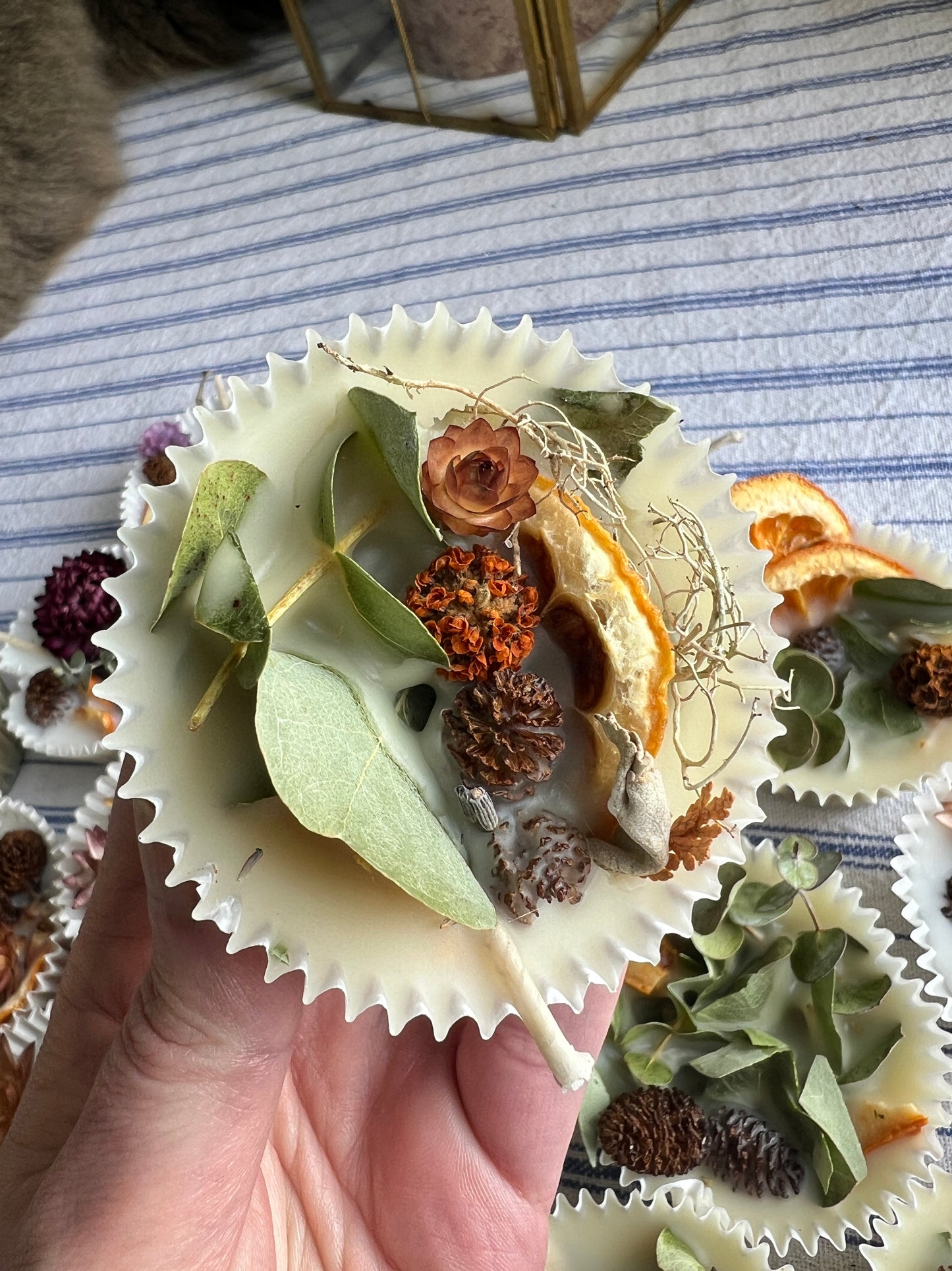 Woodland Wax Fire Starter - Orange Peel, Eucalyptus, Pine Cone