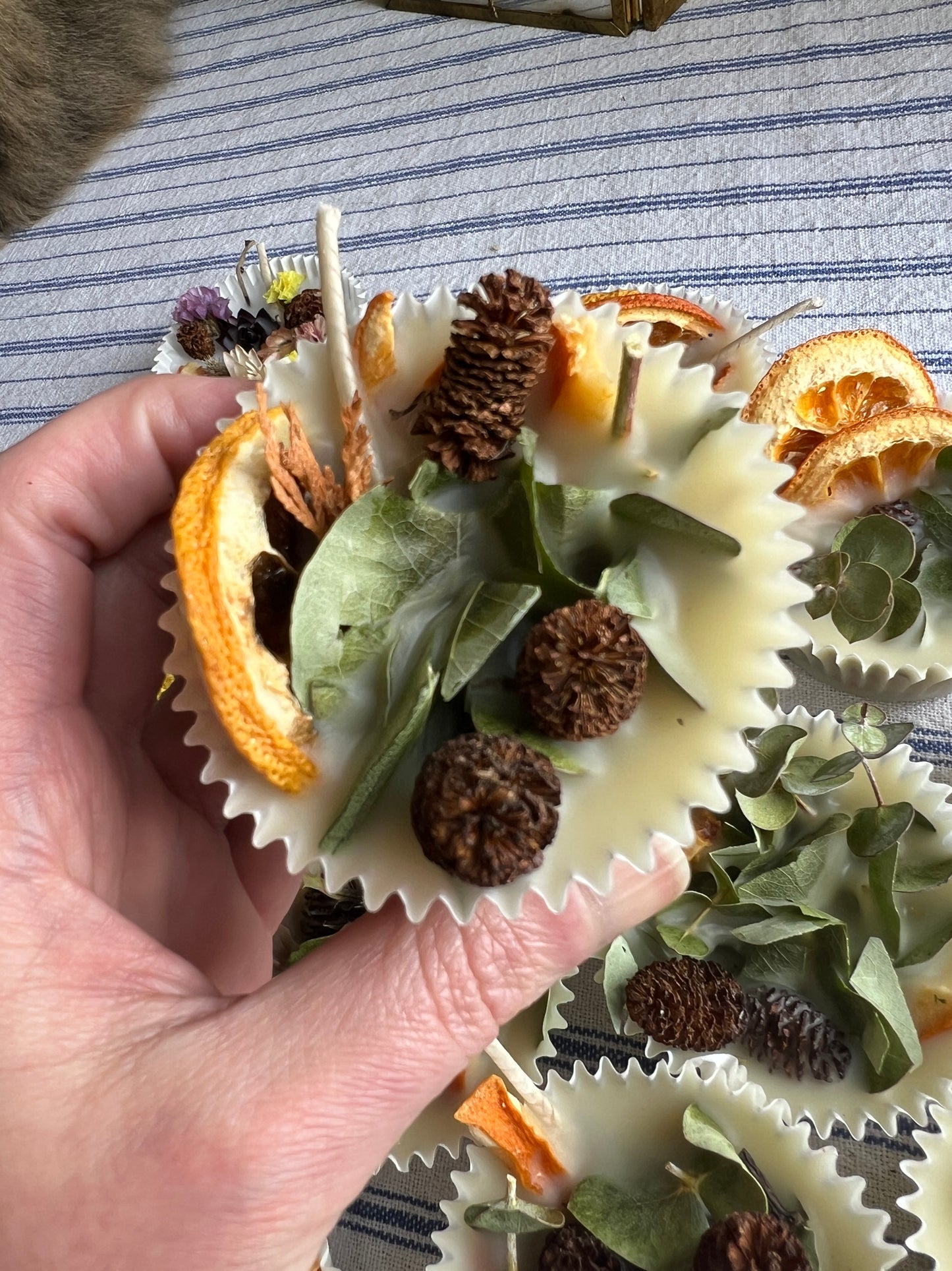 Woodland Wax Fire Starter - Orange Peel, Eucalyptus, Pine Cone