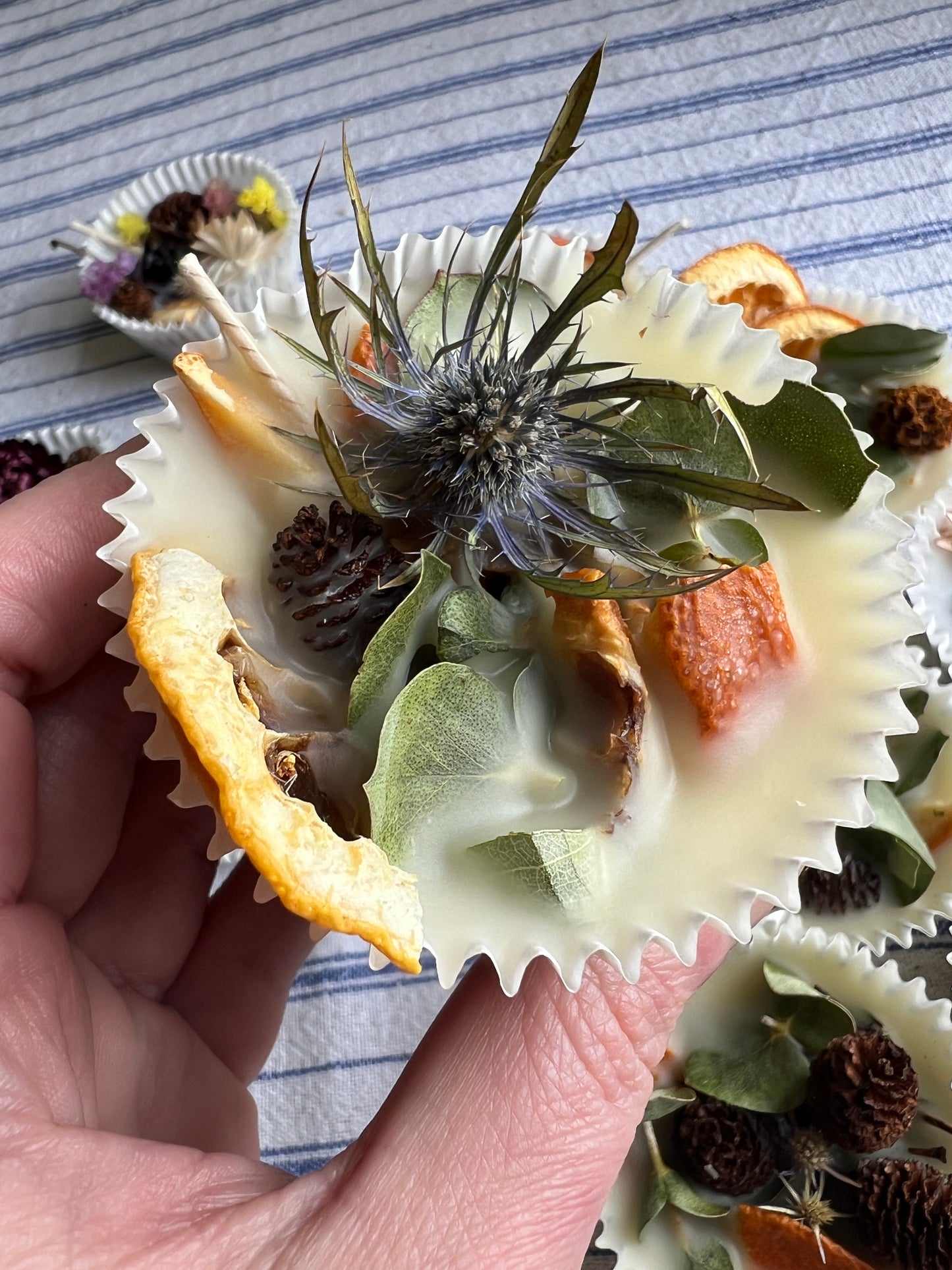 Woodland Wax Fire Starter - Orange Peel, Eucalyptus, Pine Cone