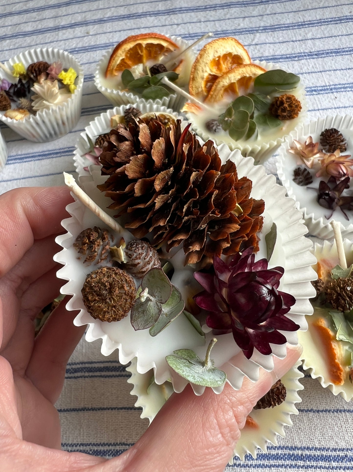 Woodland Wax Fire Starter - Orange Peel, Eucalyptus, Pine Cone