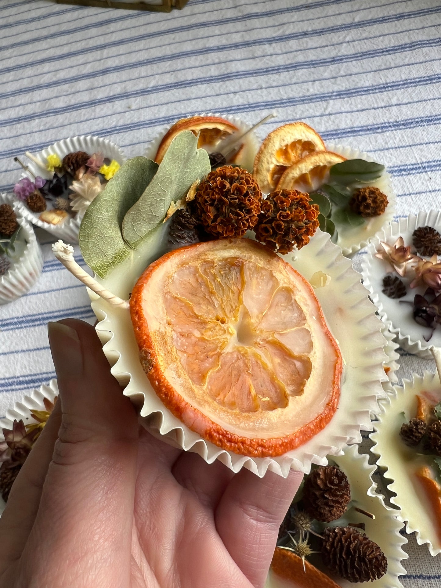 Woodland Wax Fire Starter - Orange Peel, Eucalyptus, Pine Cone