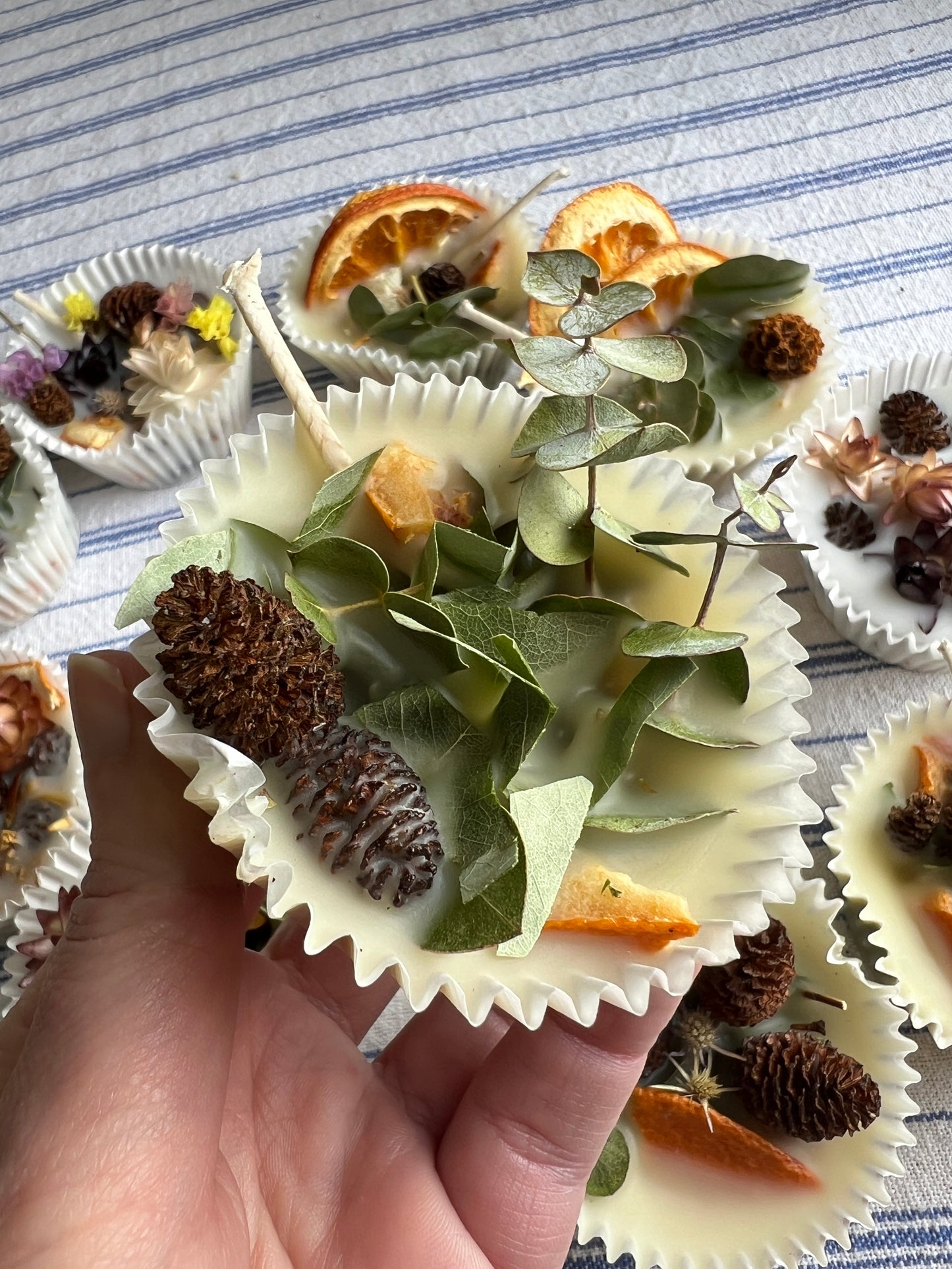 Woodland Wax Fire Starter - Orange Peel, Eucalyptus, Pine Cone