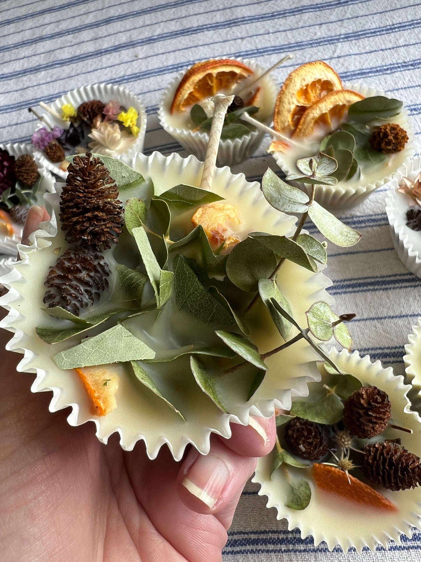 Woodland Wax Fire Starter - Orange Peel, Eucalyptus, Pine Cone