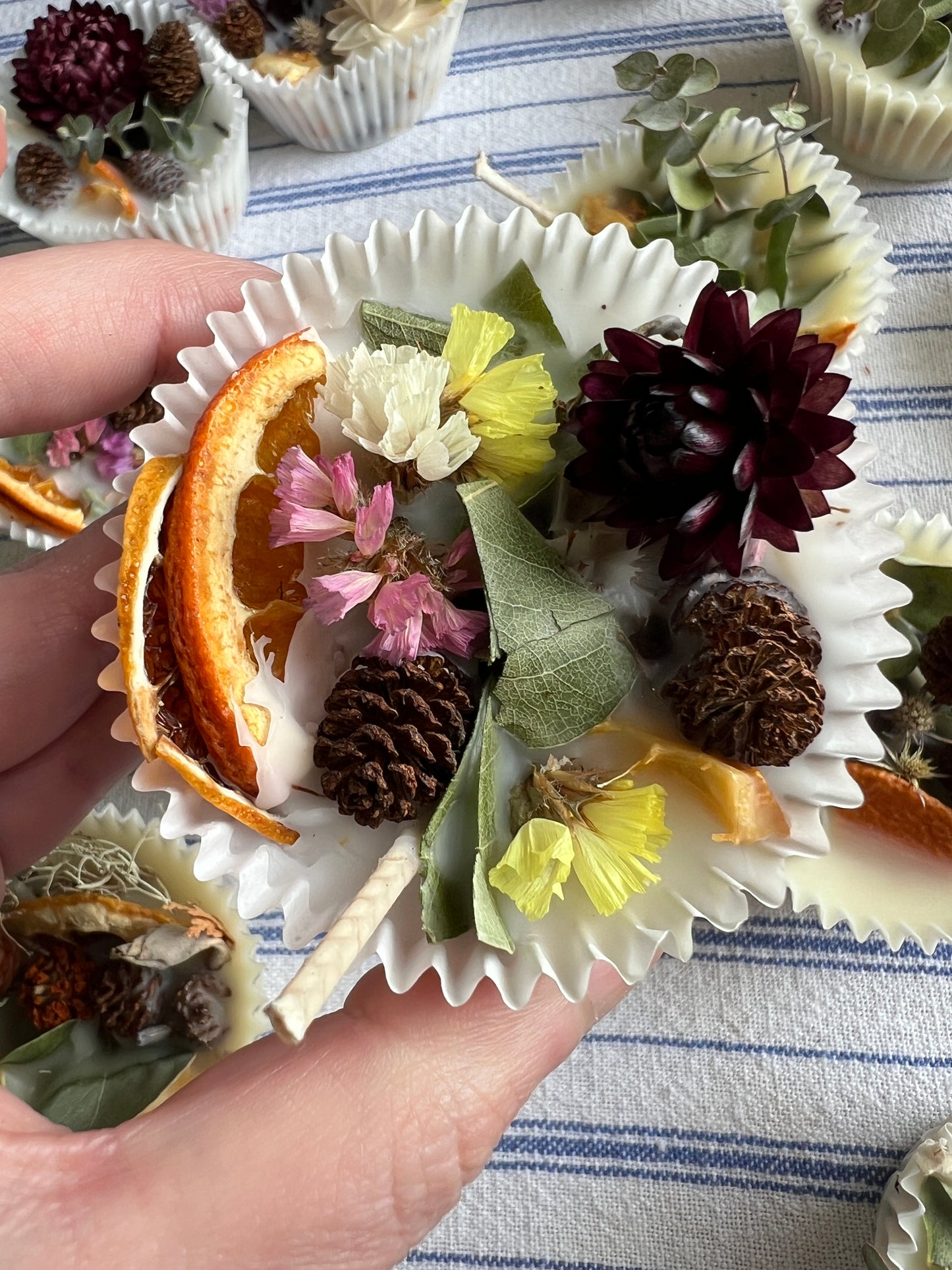 Woodland Wax Fire Starter - Orange Peel, Eucalyptus, Pine Cone
