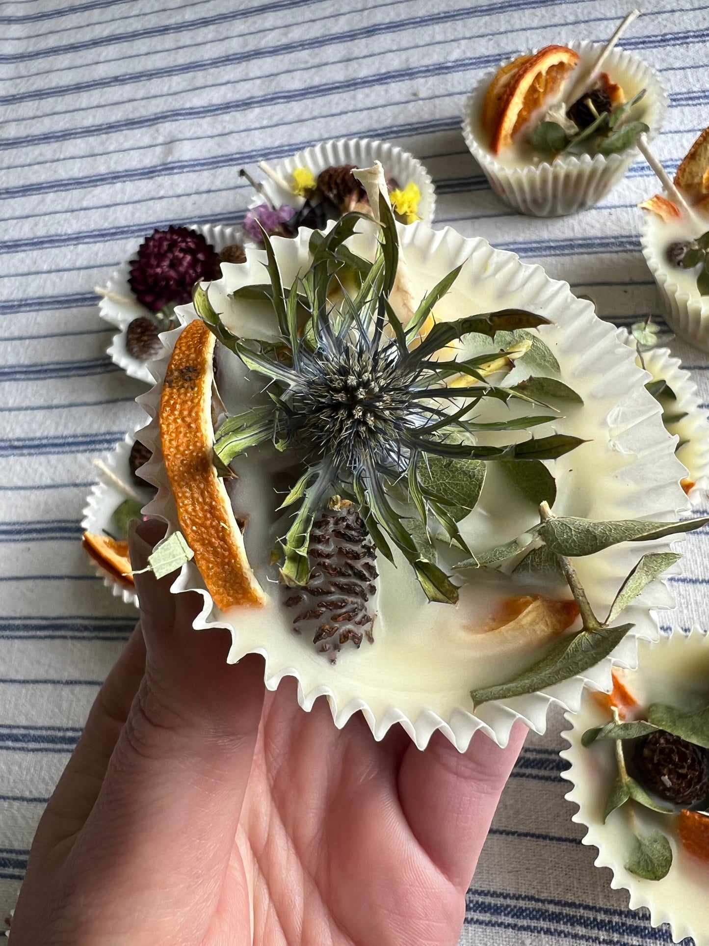 Woodland Wax Fire Starter - Orange Peel, Eucalyptus, Pine Cone