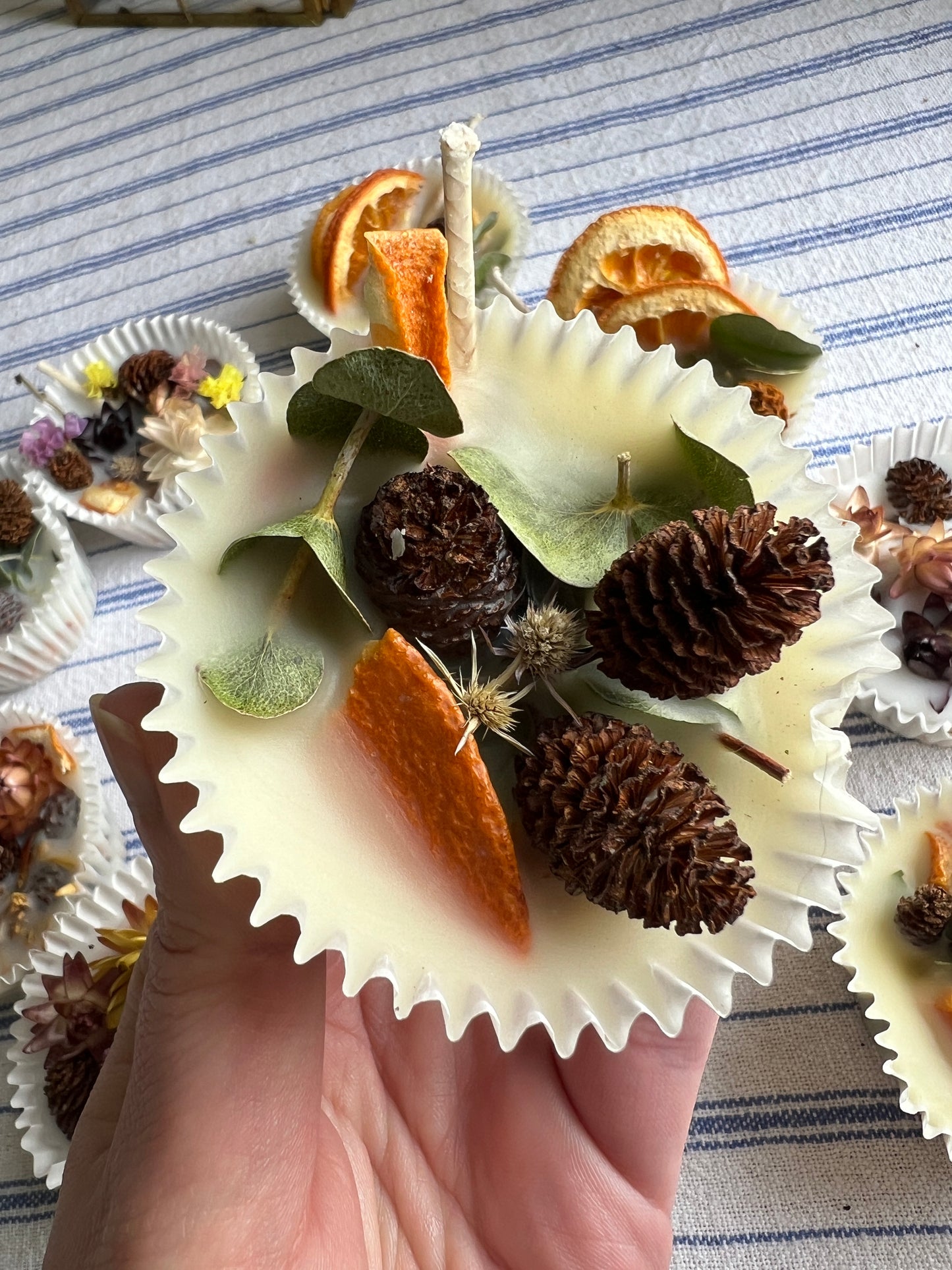 Woodland Wax Fire Starter - Orange Peel, Eucalyptus, Pine Cone