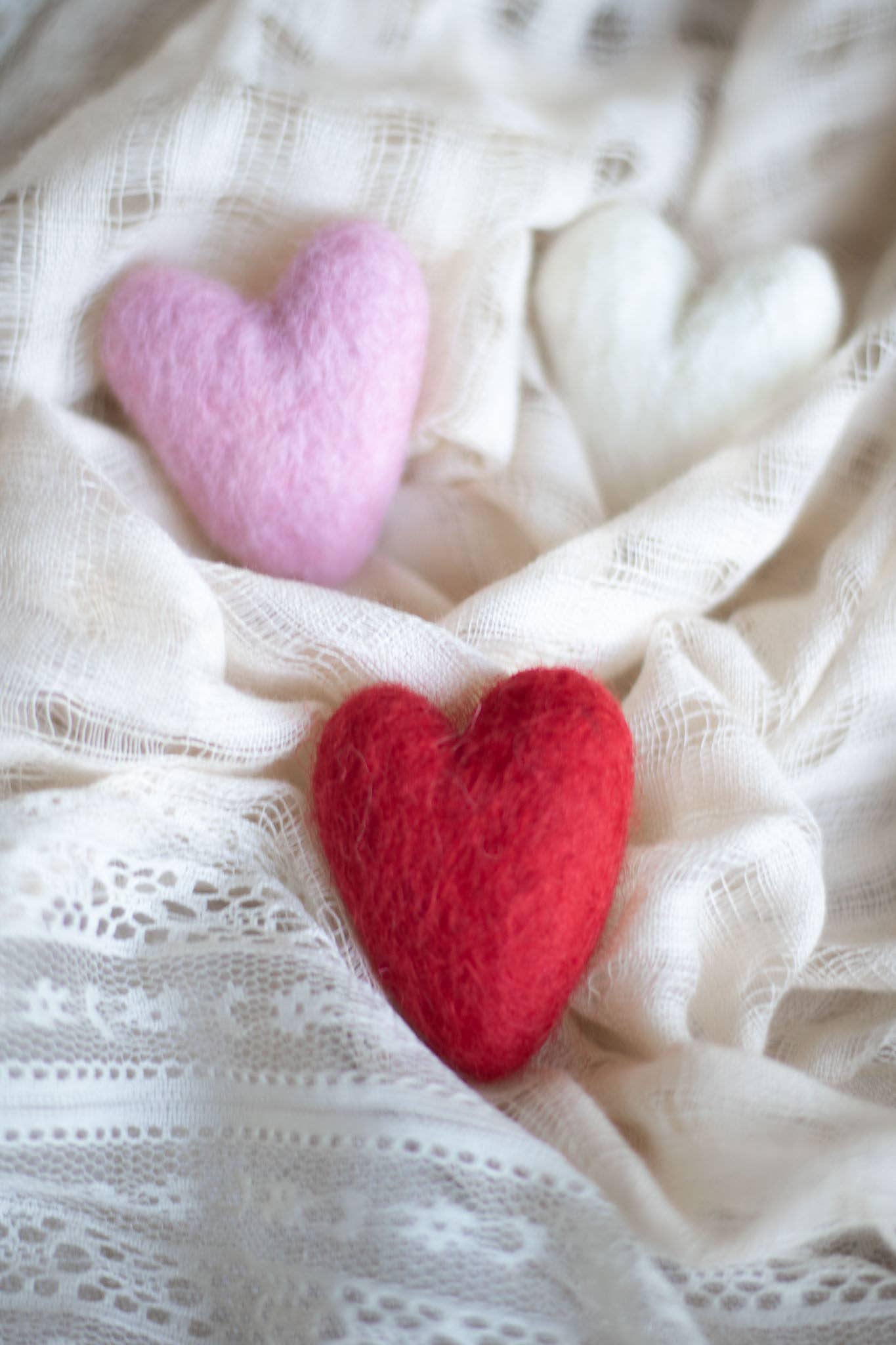 Heart Cat Toy - Felted Wool - - Single Random Color