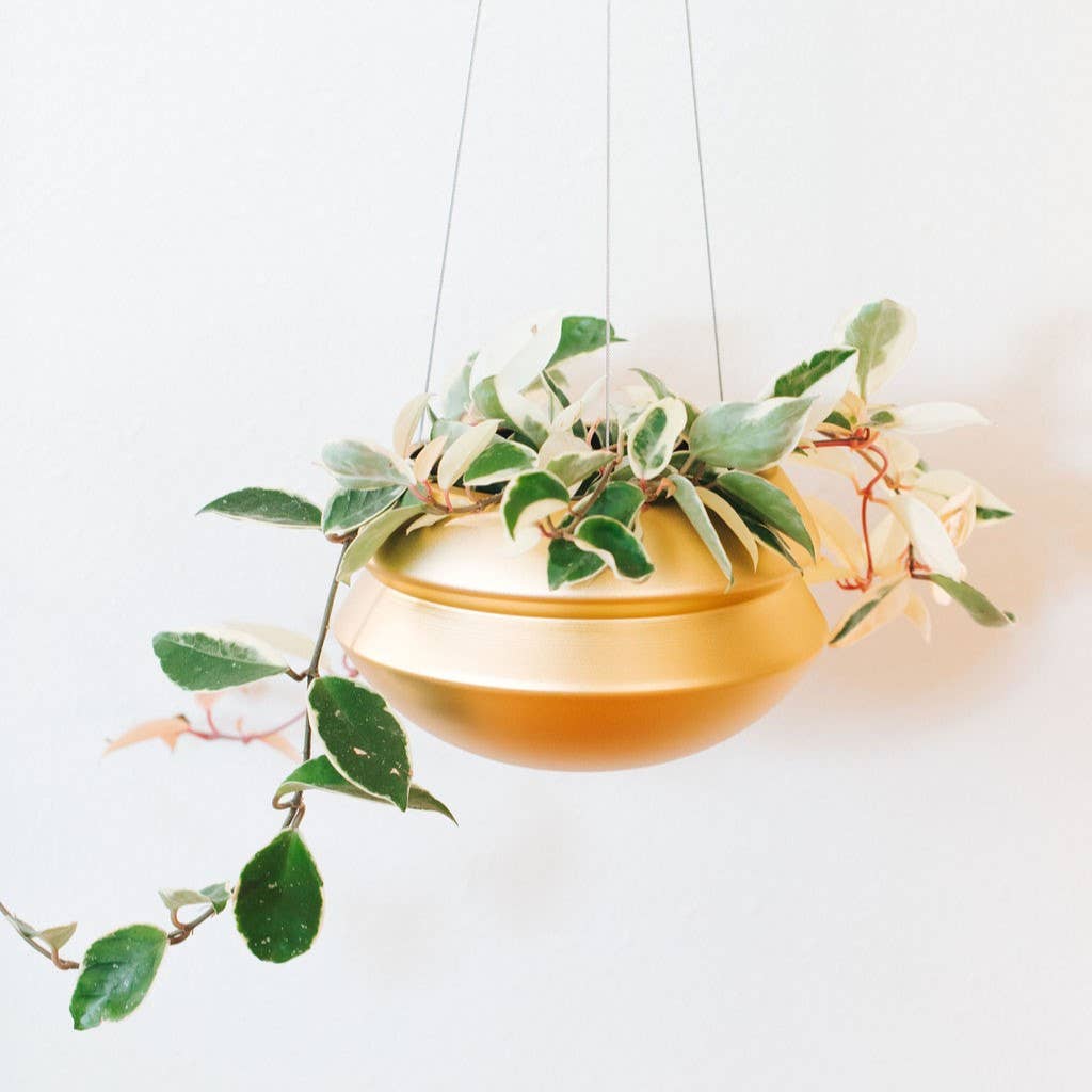 The Halo: Brass / Large