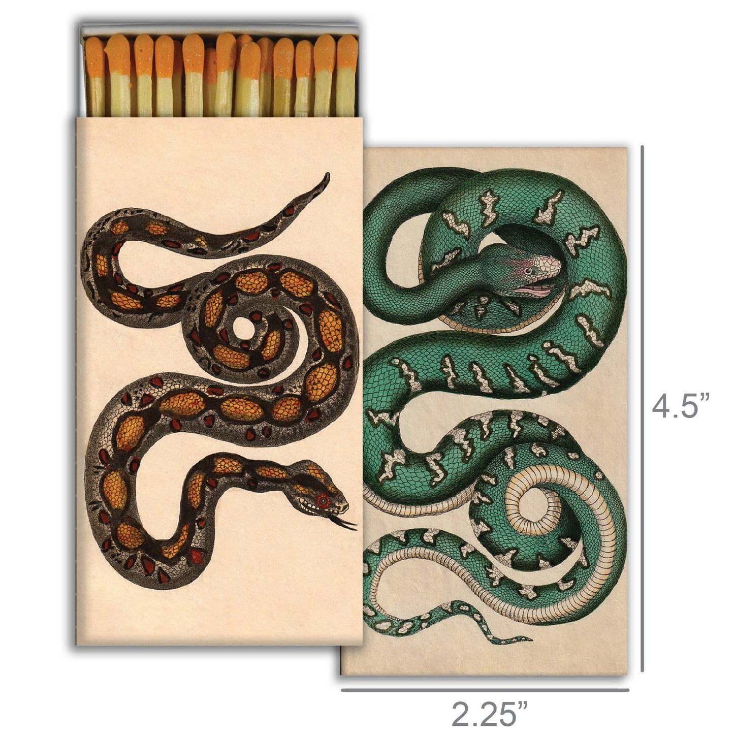 Long Matches - Rare Snakes