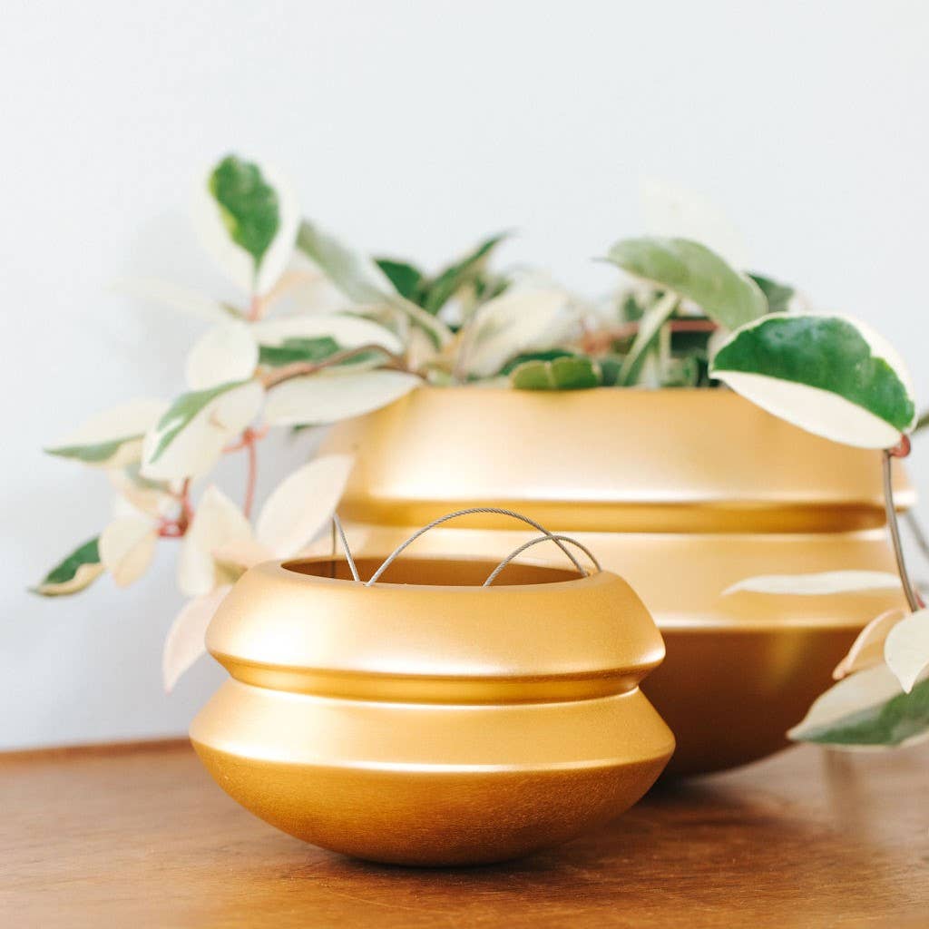 The Halo: Brass / Large