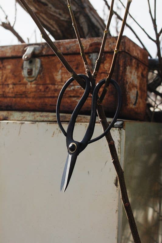 Higurashi Bonsai Scissors