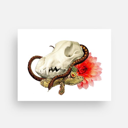 "Dog Skull Garden" Mini Art Print or Postcard (4x5.5) - Original Art by Tamara Cervenka
