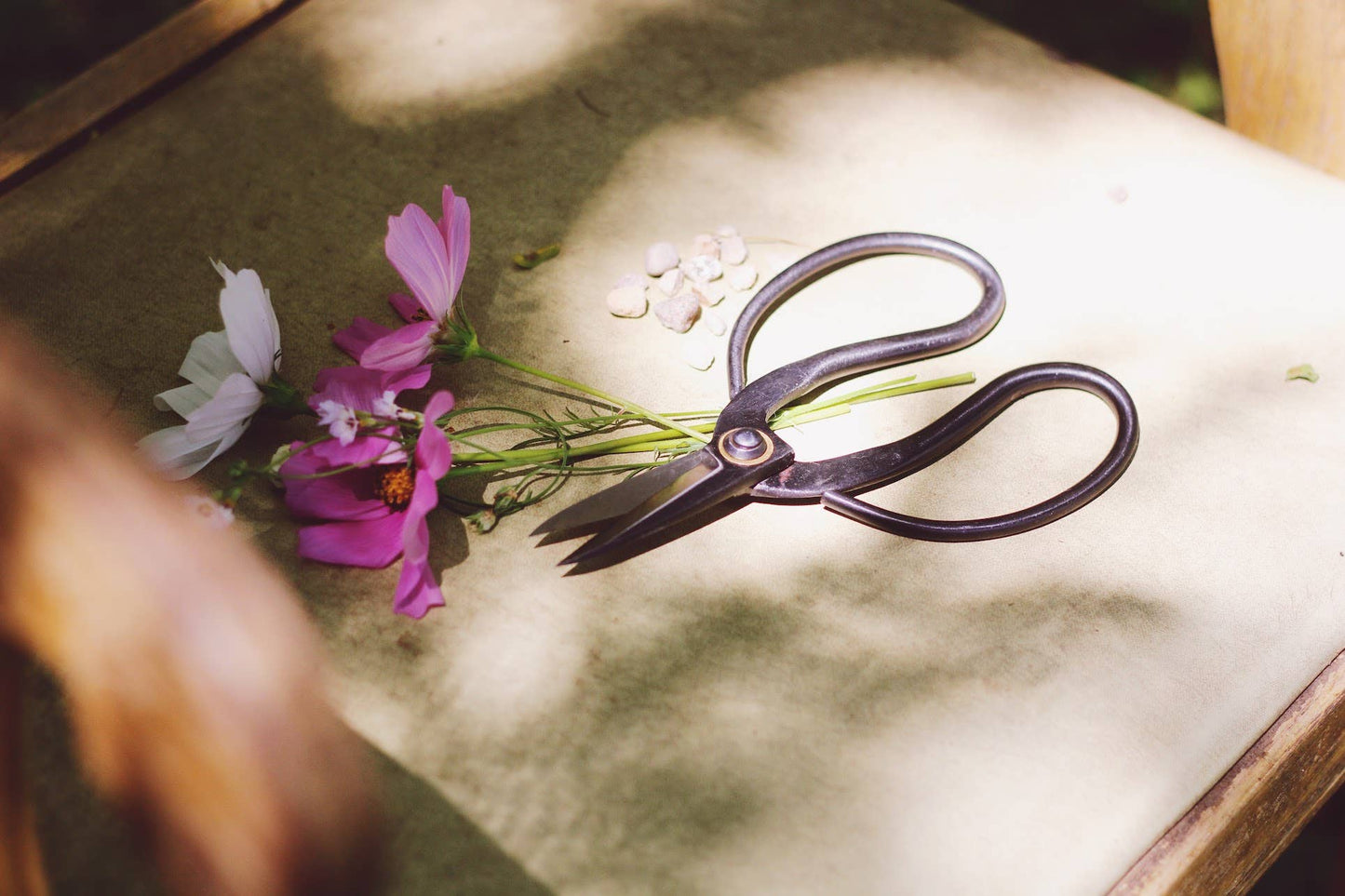 Higurashi Bonsai Scissors