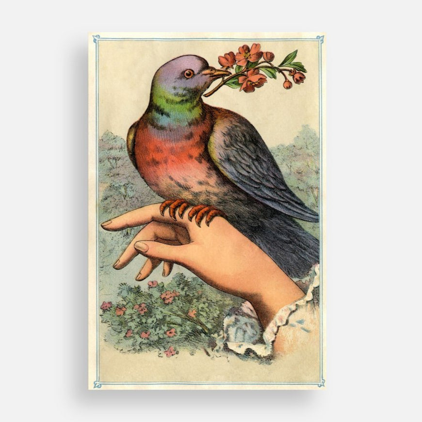 Hand with Dove Postcard or Mini Print (4x6)