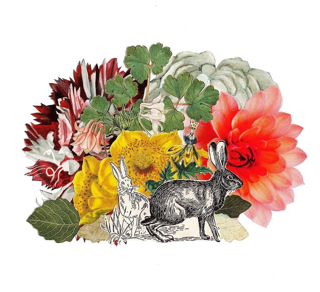 "New Year New Meadow" Mini Art Print or Postcard (4x5.5) - Original Art by Tamara Cervenka