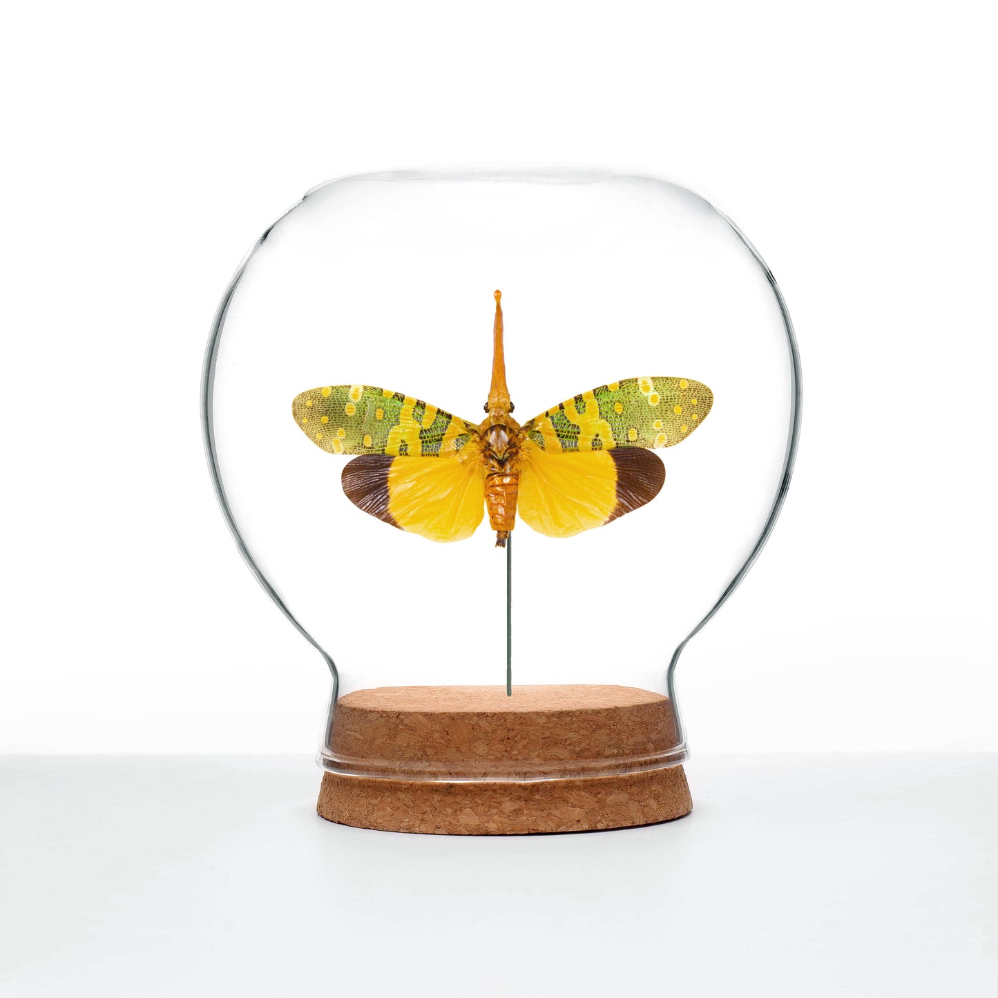 Yellow & Green Lanternfly Globe: Circular