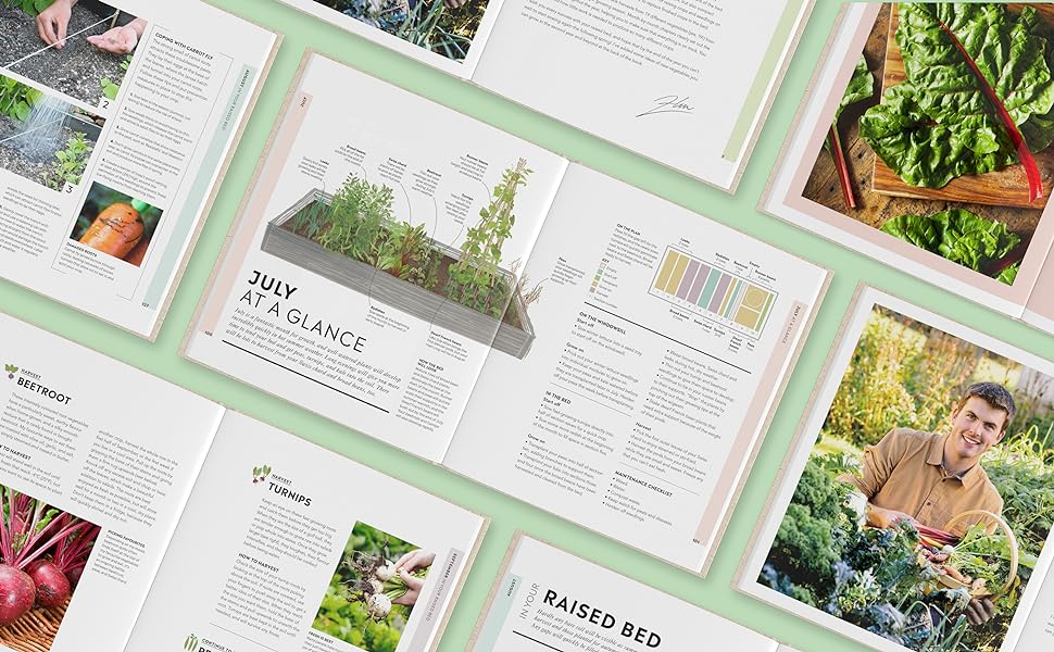 Veg in One Bed: How to Grow an Abundance of Food in One Raised Bed, Month by Month