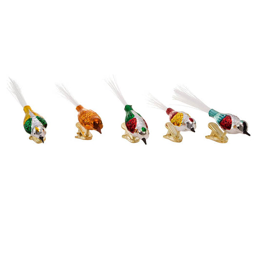 Kurt Adler Clip On Glass Bird Ornaments - Set of 5