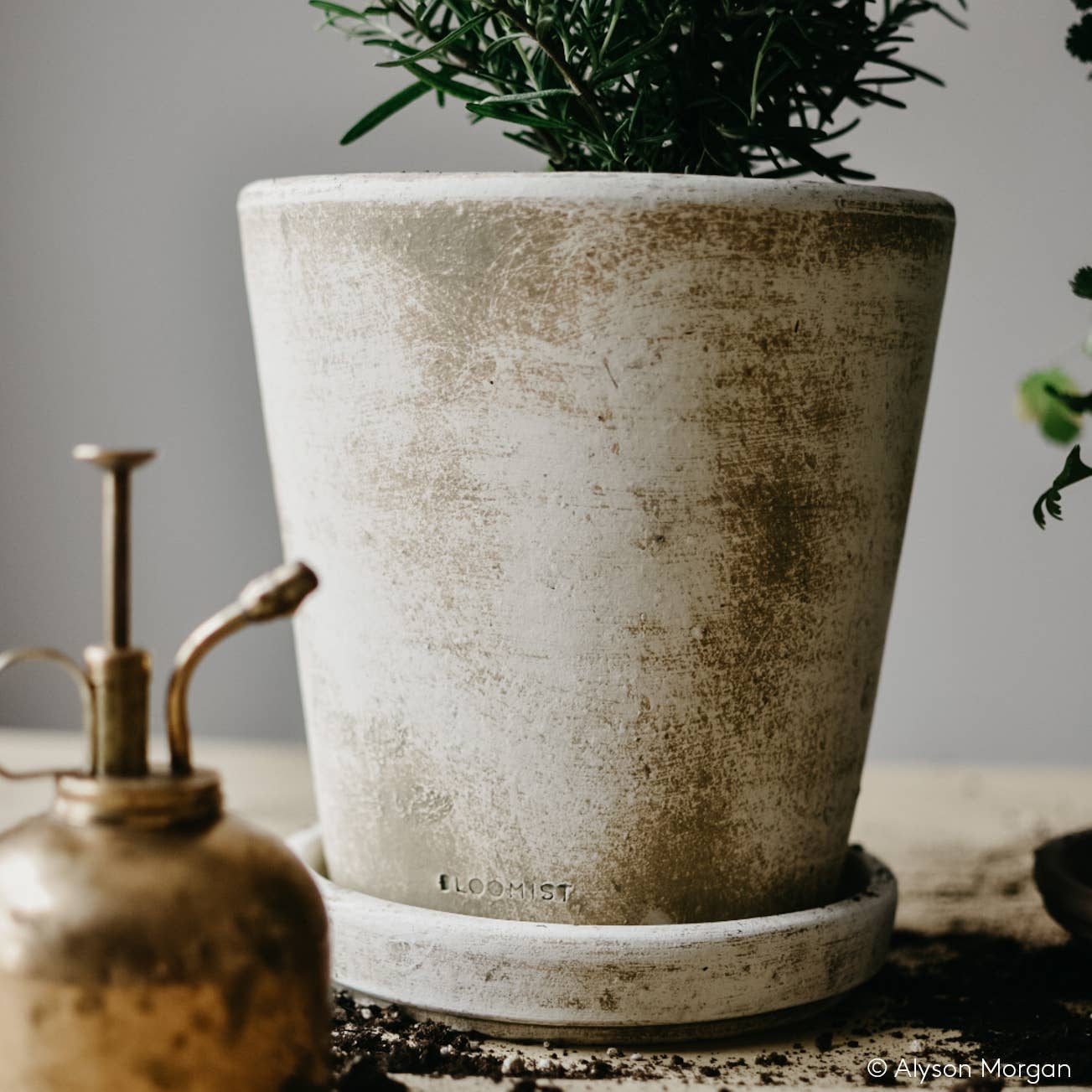 Basic Planter - White Patina