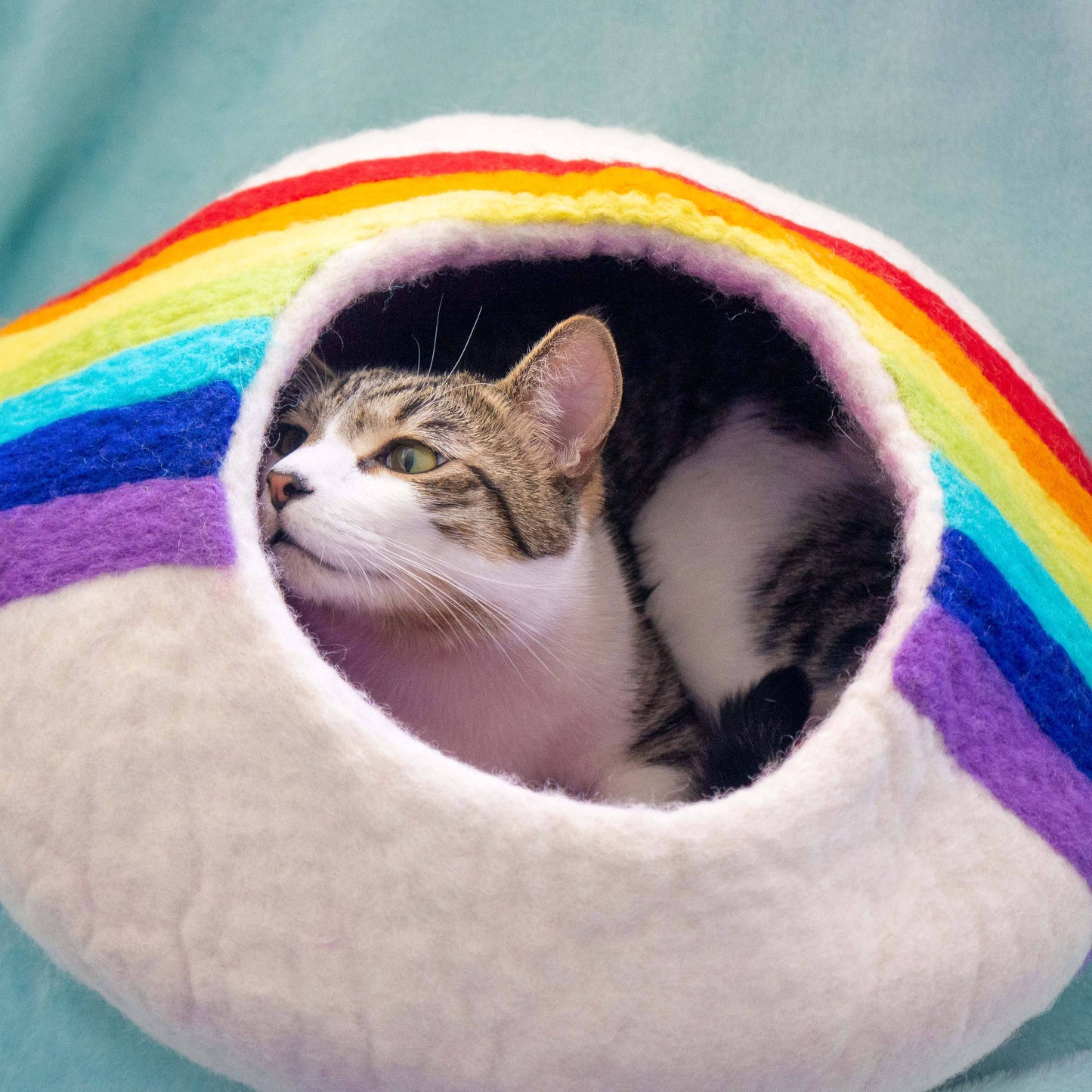 Rainbow Eco Kitty Cave - Friendsheep