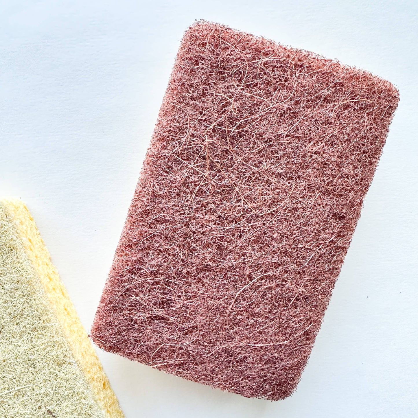 Coconut & Cellulose Sponge