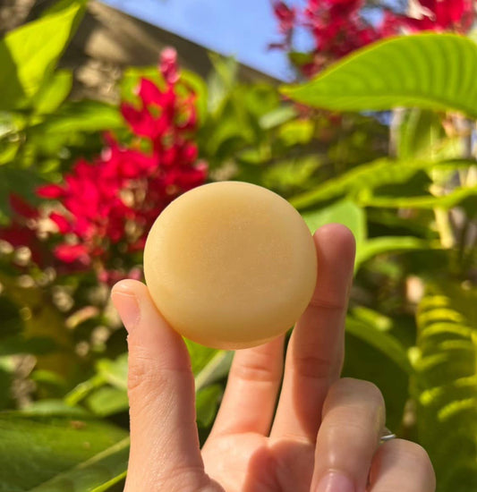 Haven Conditioner Bar For All Curl Types - Travel Size