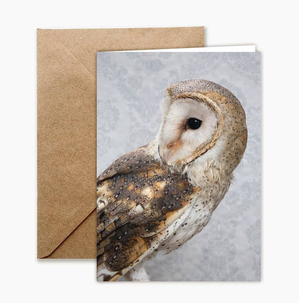 Birds of Prey Blank Greeting Card or Full Set of 8