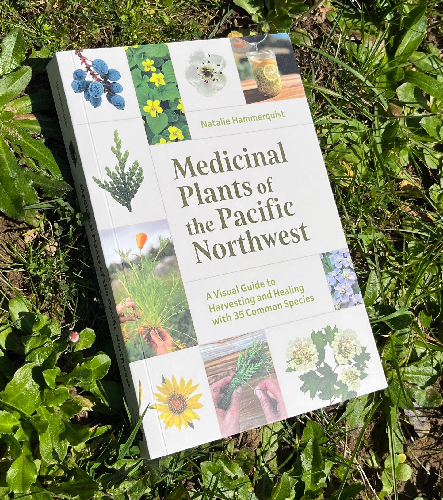 Medicinal Plants of the Pacific Northwest