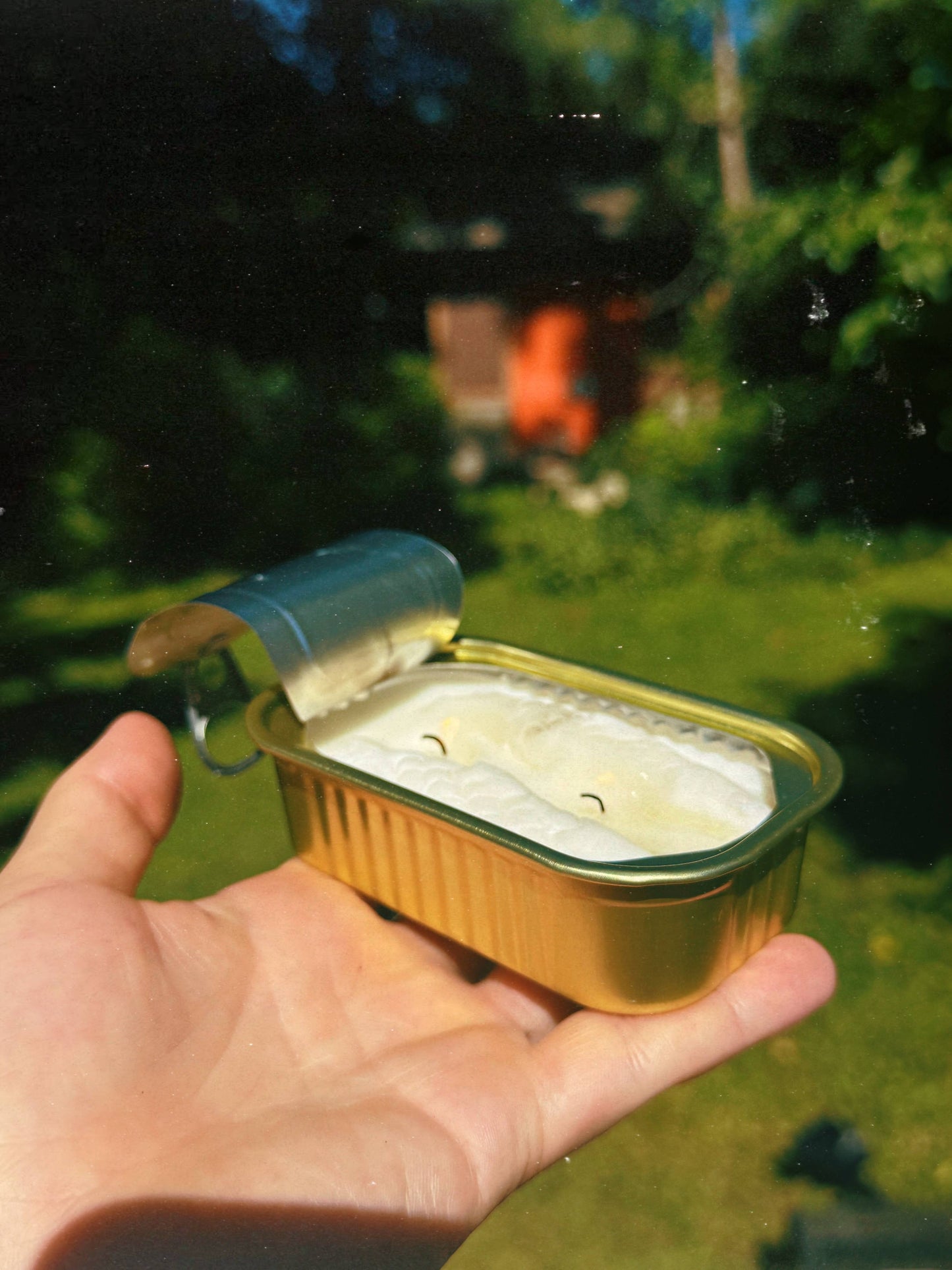 Tinned Fish Candle - Citronella