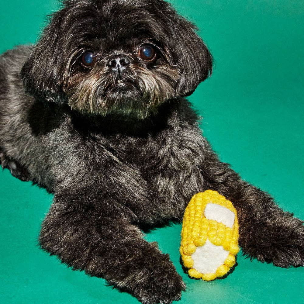 Corn on the Cob - Felted Wool Dog Squeaker Toy - Ware of the Dog