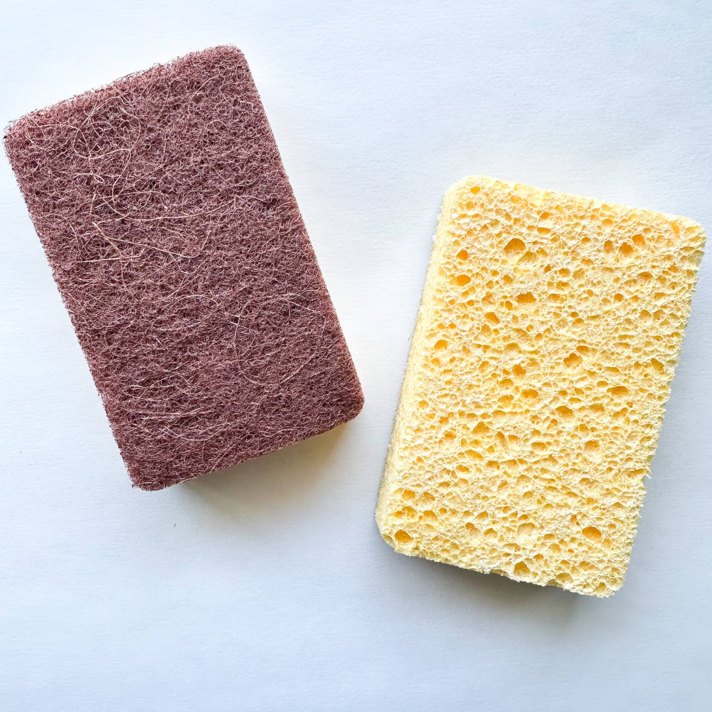 Coconut & Cellulose Sponge