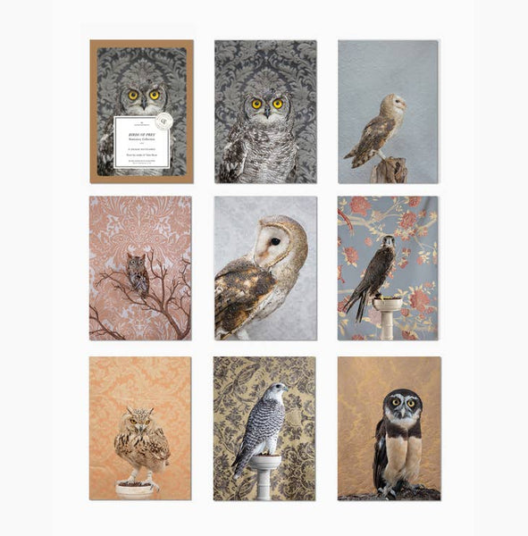 Birds of Prey Blank Greeting Card or Full Set of 8