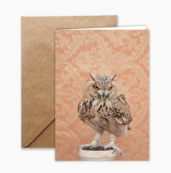 Birds of Prey Blank Greeting Card or Full Set of 8