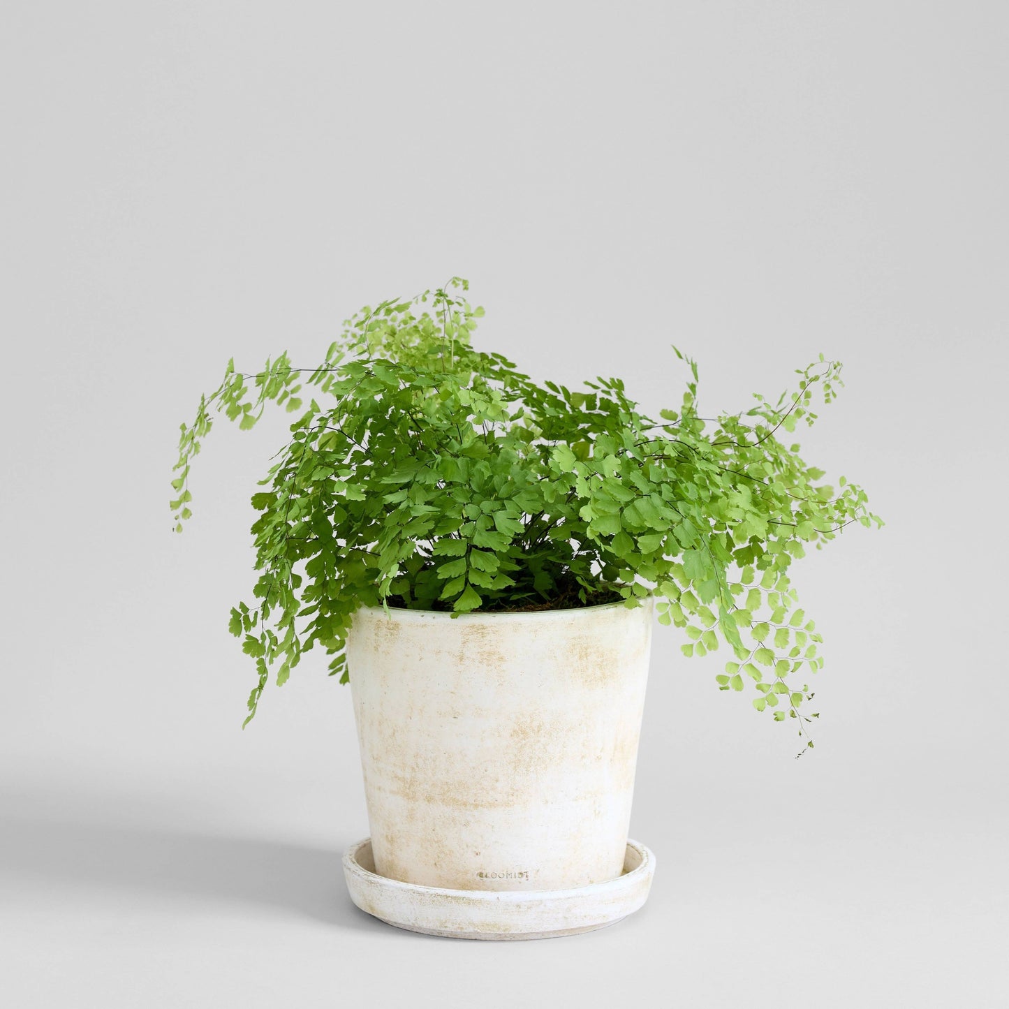 Basic Planter - White Patina