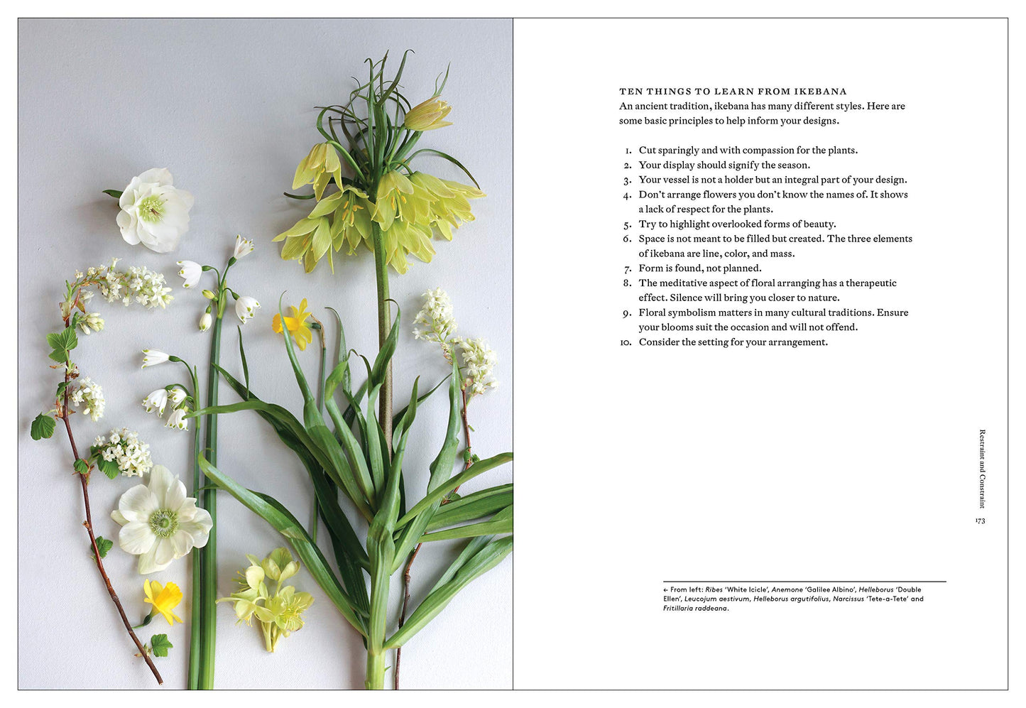 Cultivated: The Elements of Floral Style by Christin Geall