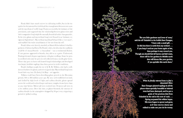 Entangled Life: The Illustrated Edition - How Fungi Make Our Worlds