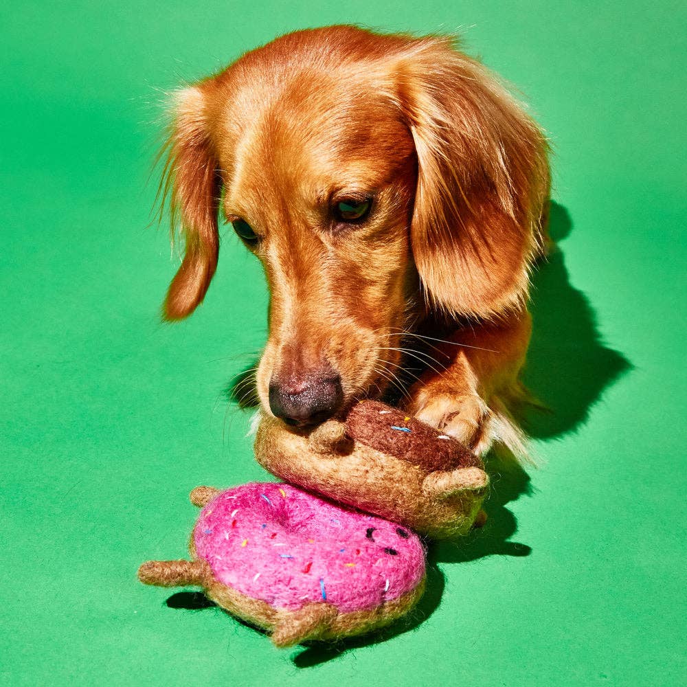 Strawberry Donut - Felted Wool Dog Toy - Ware of the Dog